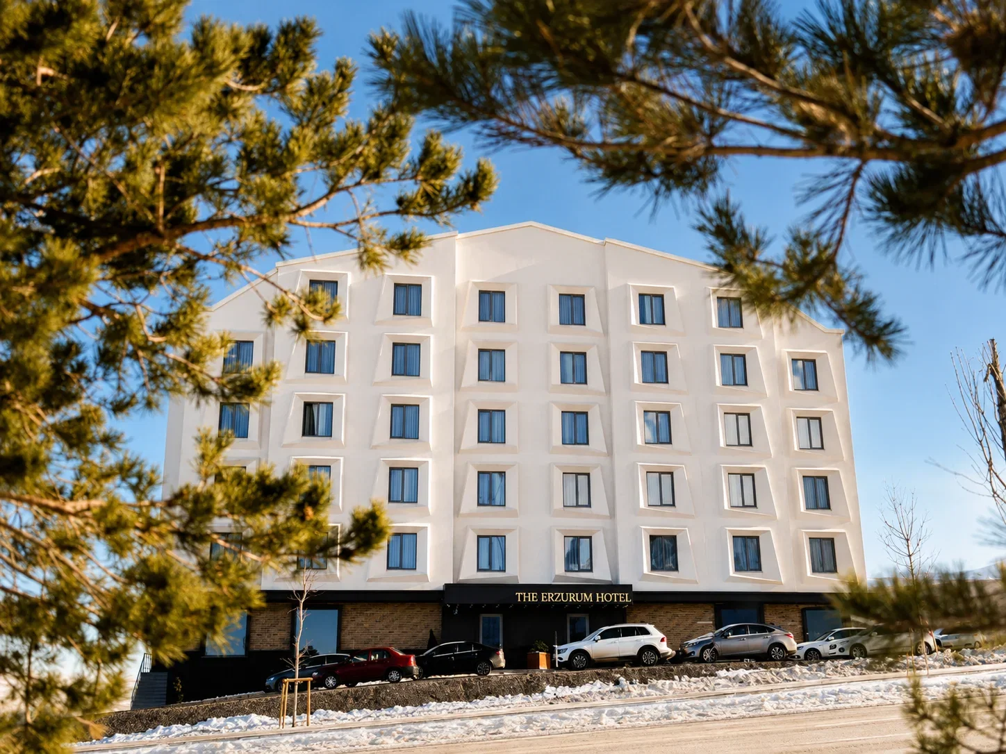 The Erzurum Hotel Dış Görünüm